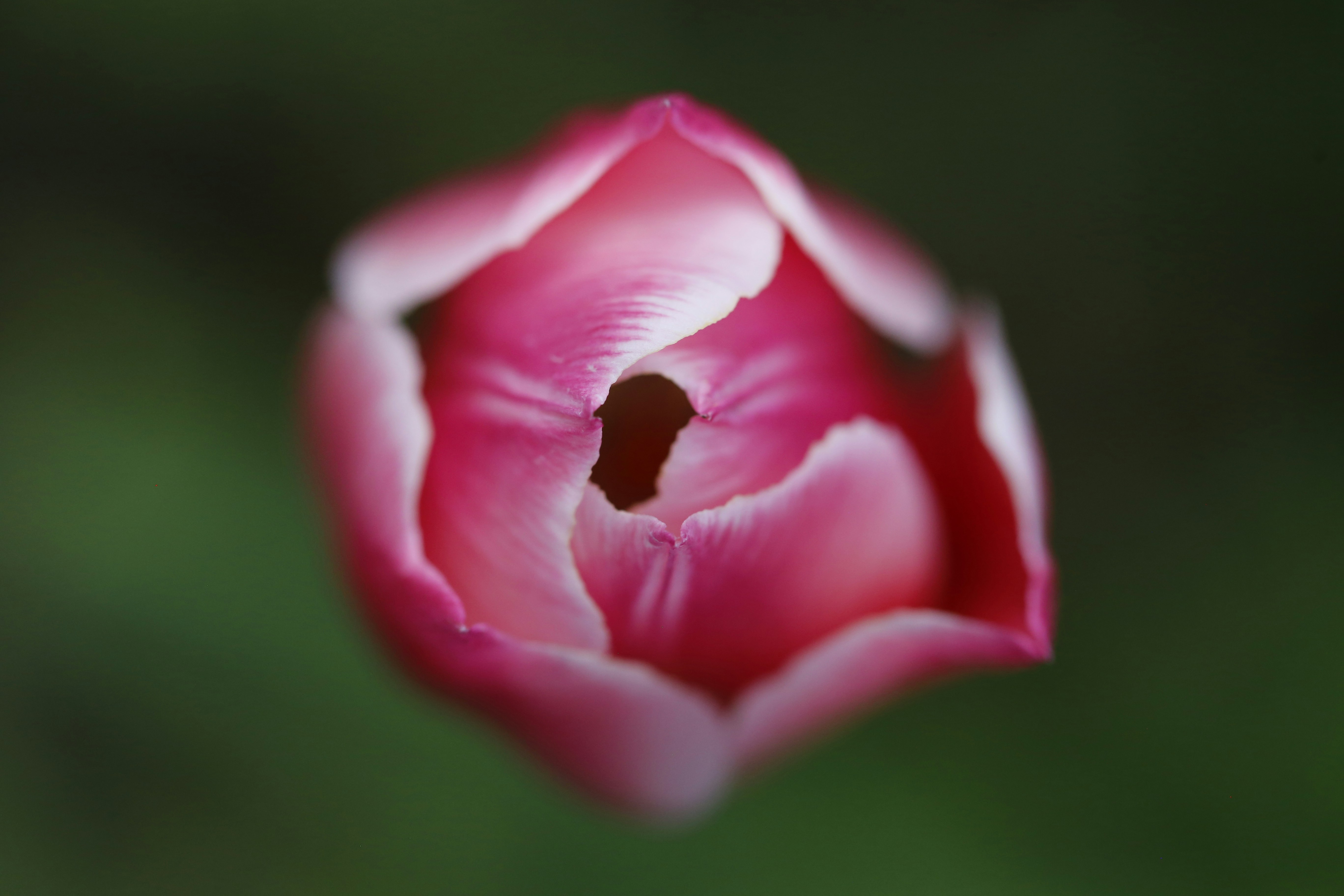 Photo by georgeiermann