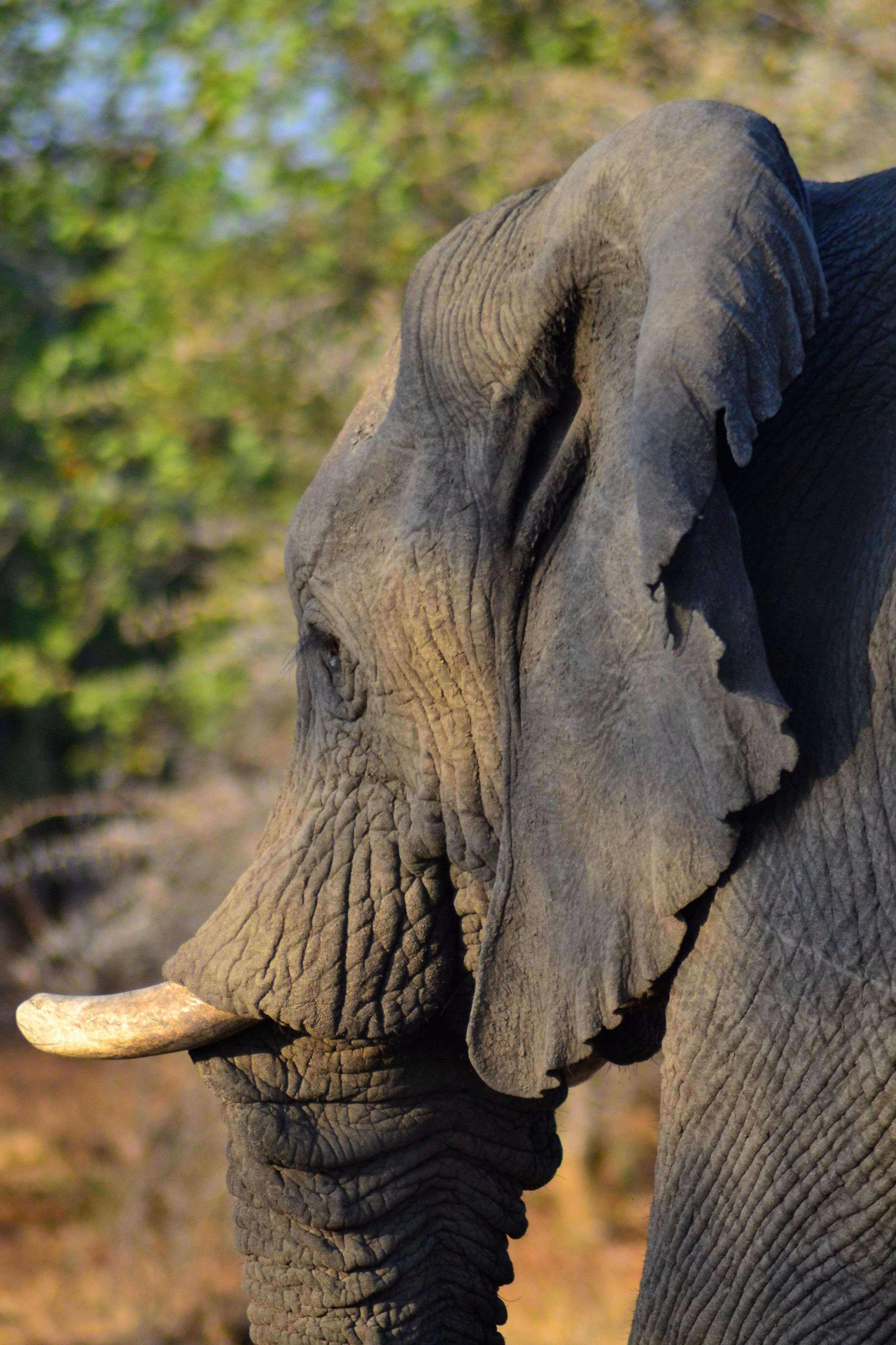 Photo by robyourduck