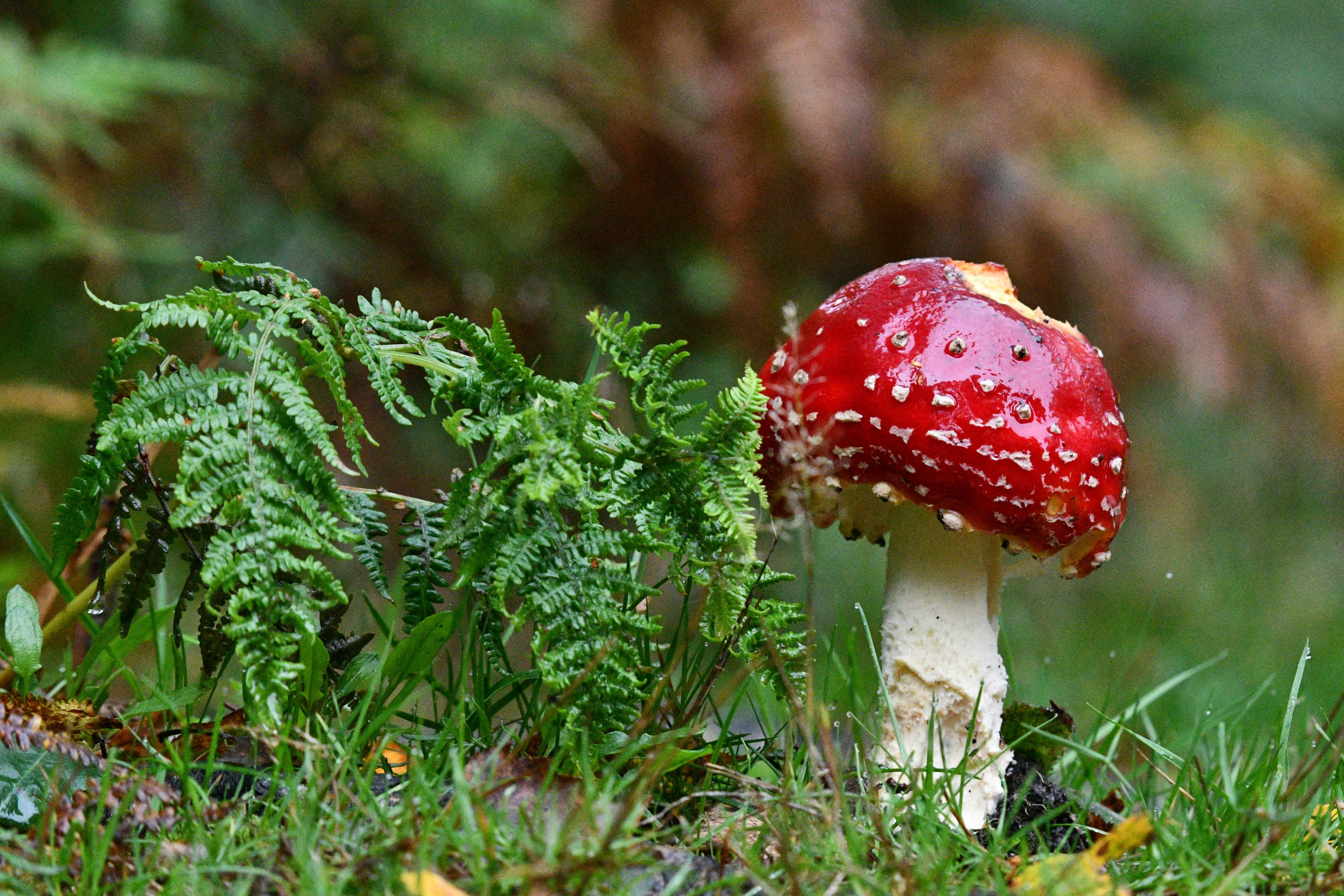 Photo by robyourduck