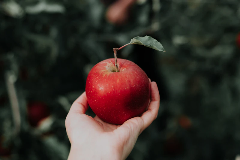 Fresh red and green apples arranged together in natural light