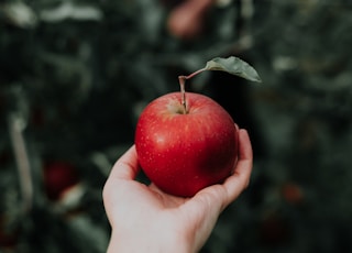 A hand holding an apple