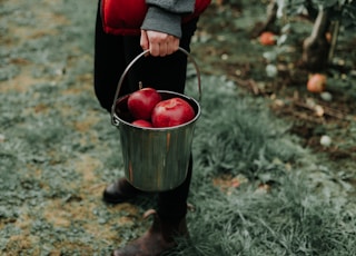 person holding bucket of apple fruits