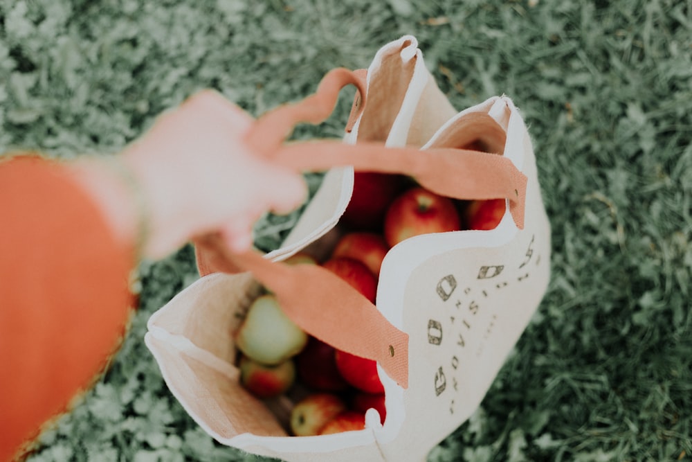 bolsa de manzana