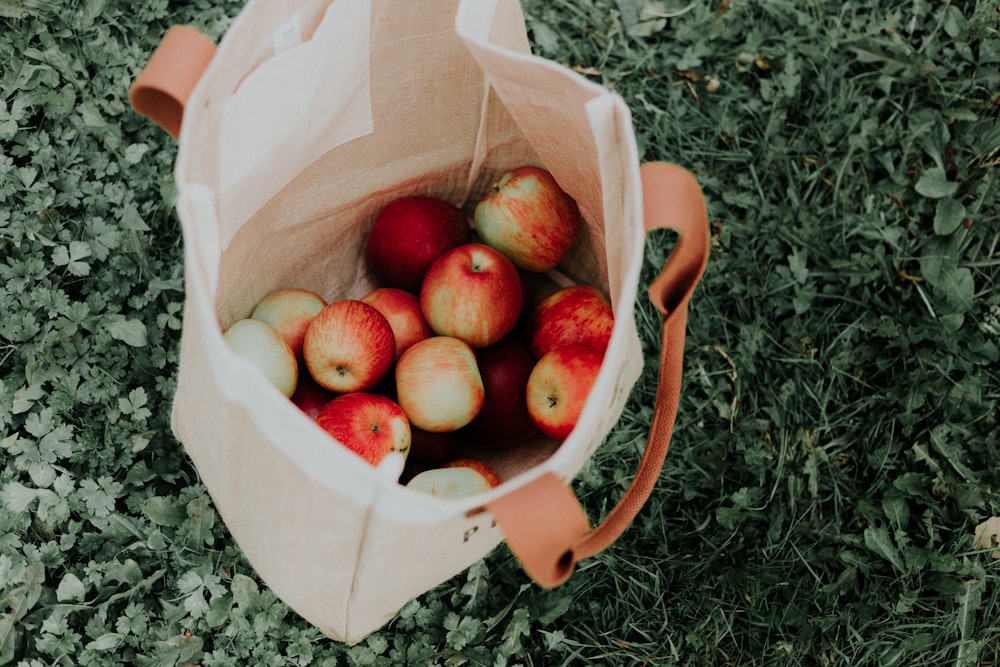 sac plein de pommes