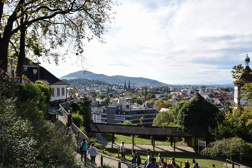 people walking near trees and buildings at daytime