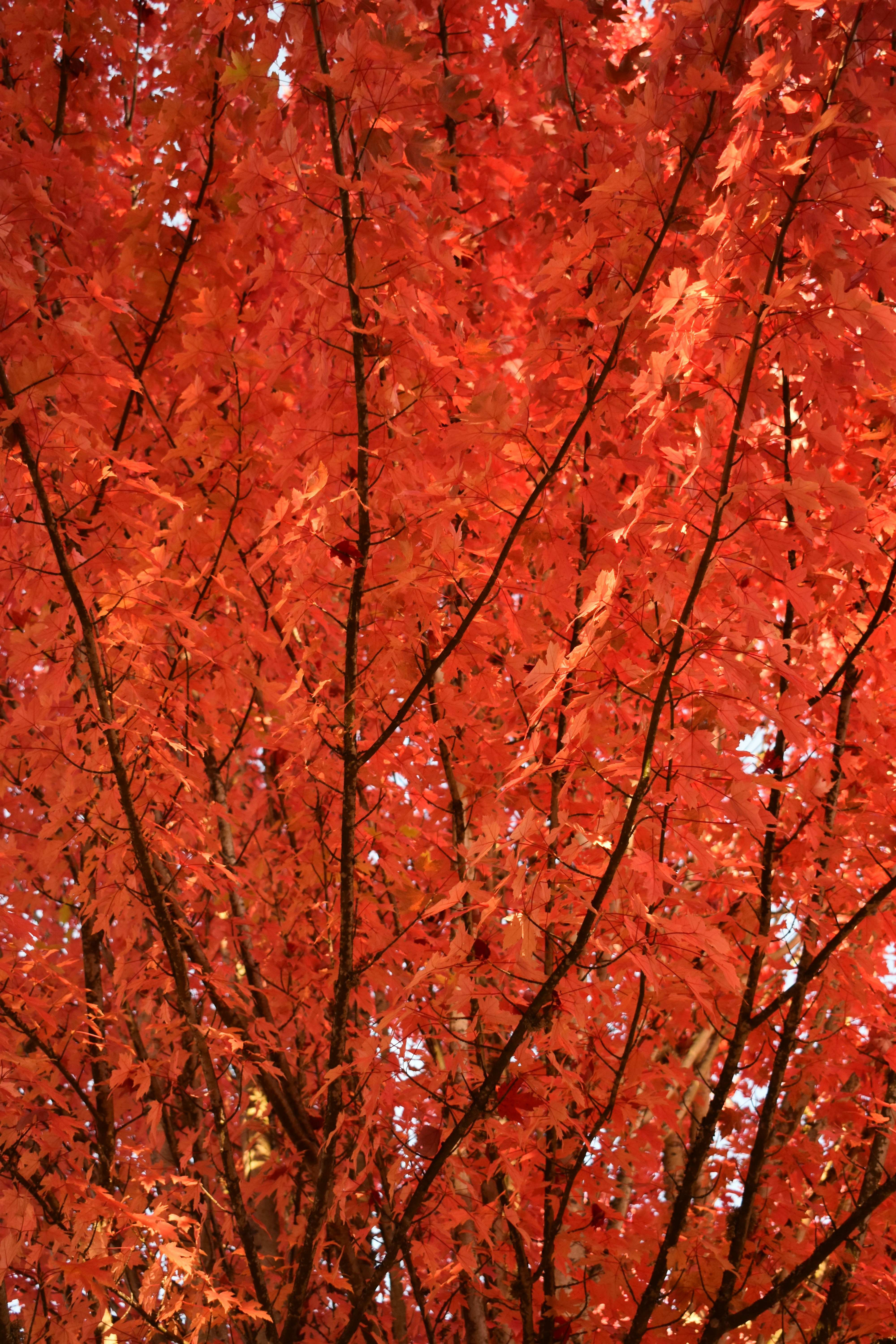 Photo by pictures102