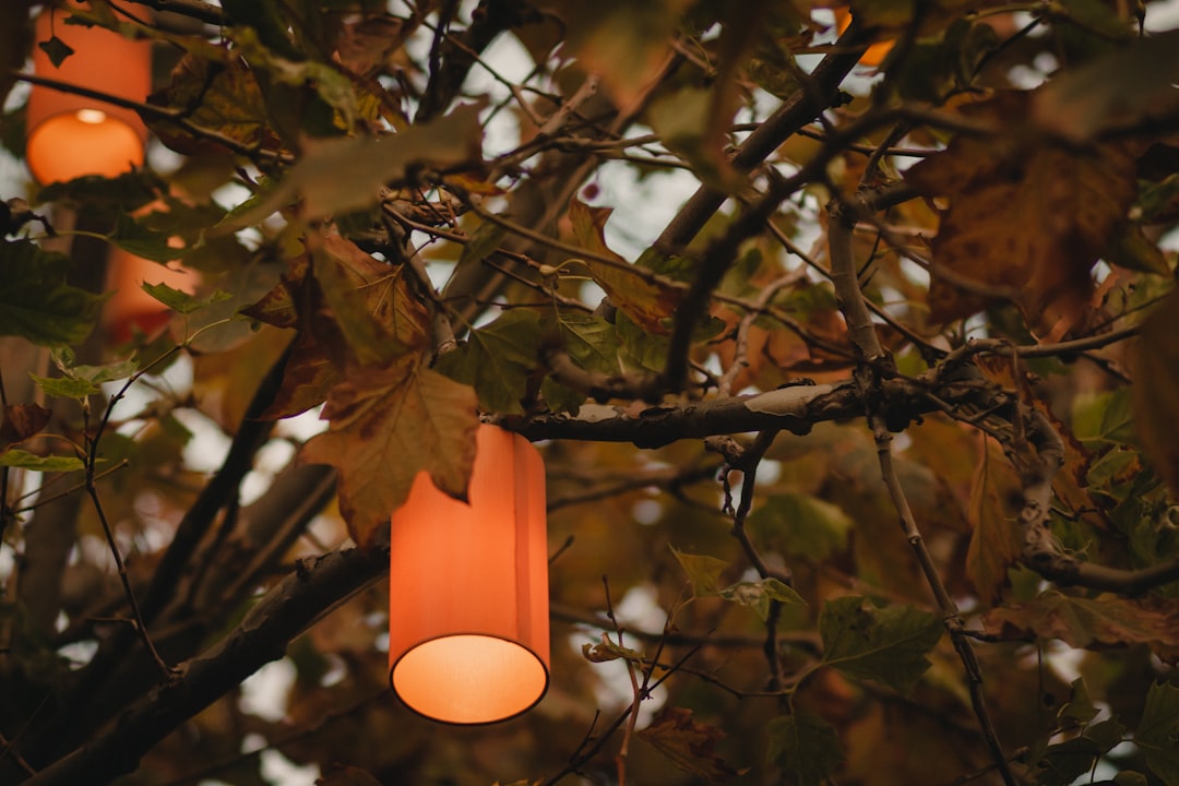 cylindrical brown lamp on tree