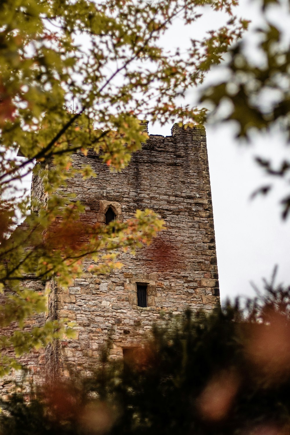 ruin castle photograph