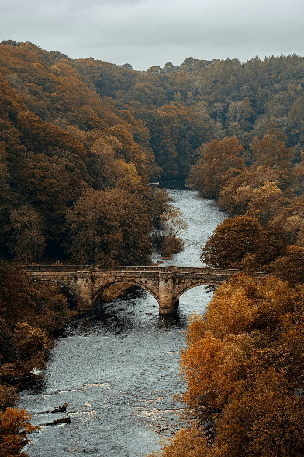 aerial photography of brown historic bridge viewing lake under white and gray sky during daytime