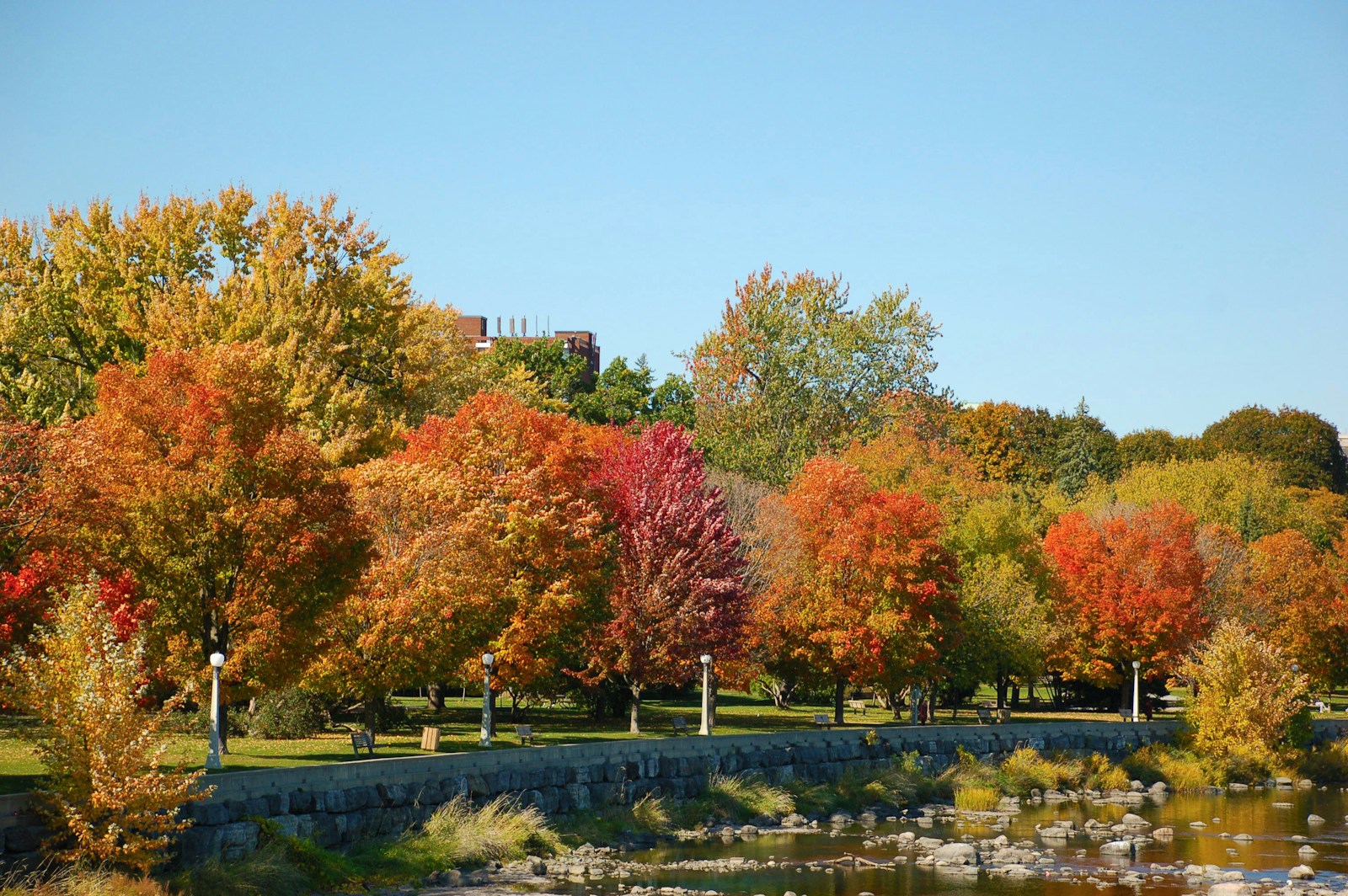 🏙️ Living in Westboro, Ottawa: Why This Trendy Neighbourhood is in High Demand