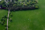 An aerial view of a community gathering in a park.