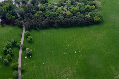 An aerial view of a community gathering in a park.
