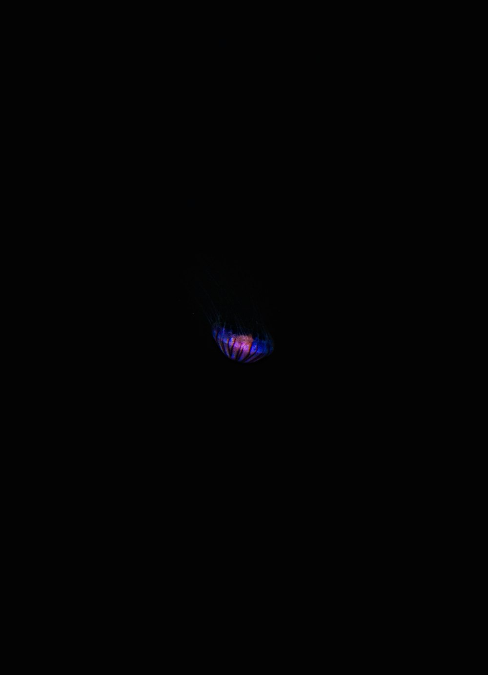 a black background with a red and blue light in the middle