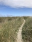 grass field under blue sky