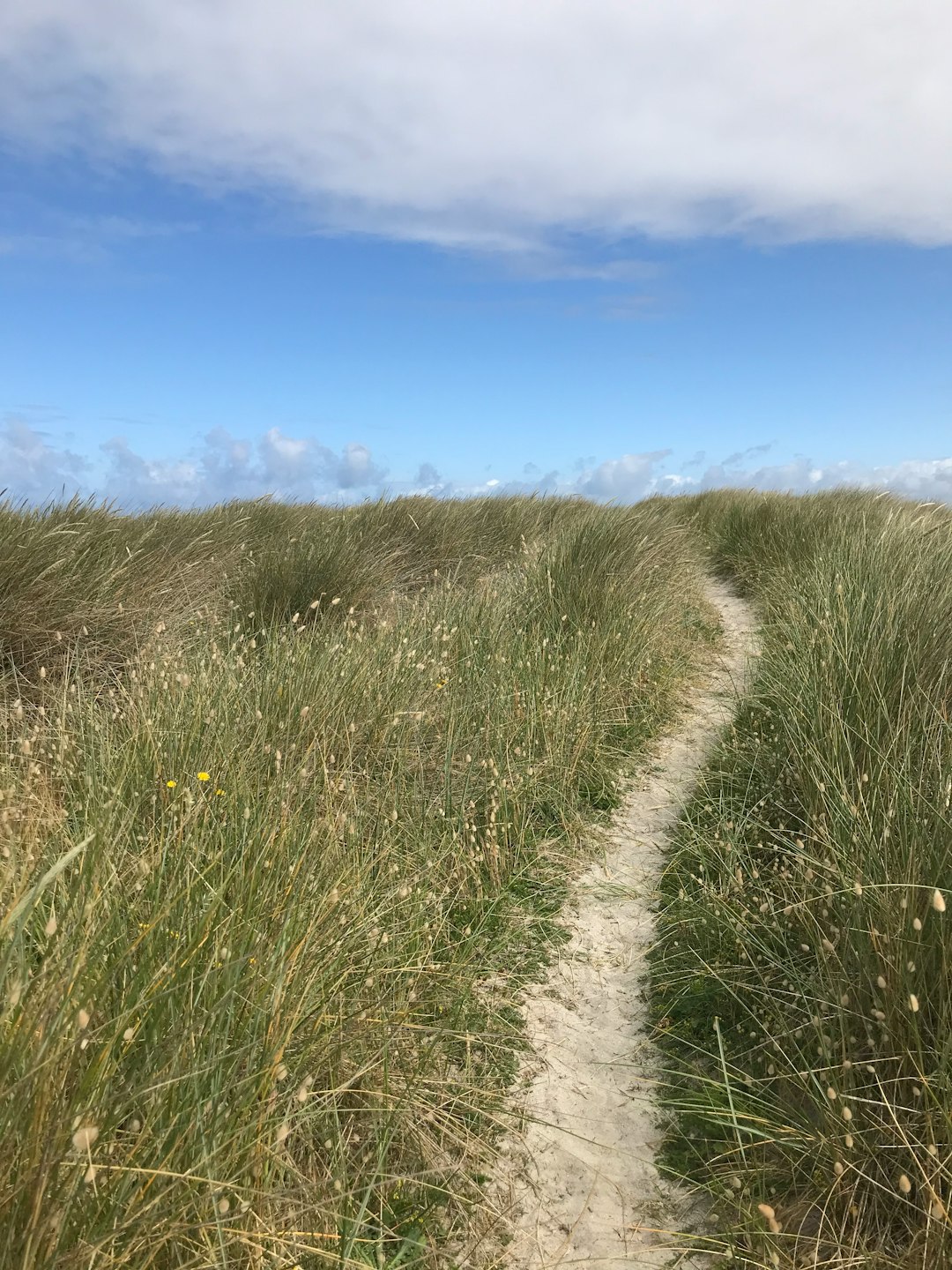 Ecoregion photo spot Pointe de la Torche France