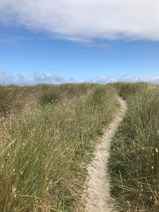 grass field under blue sky in Pointe de la Torche France