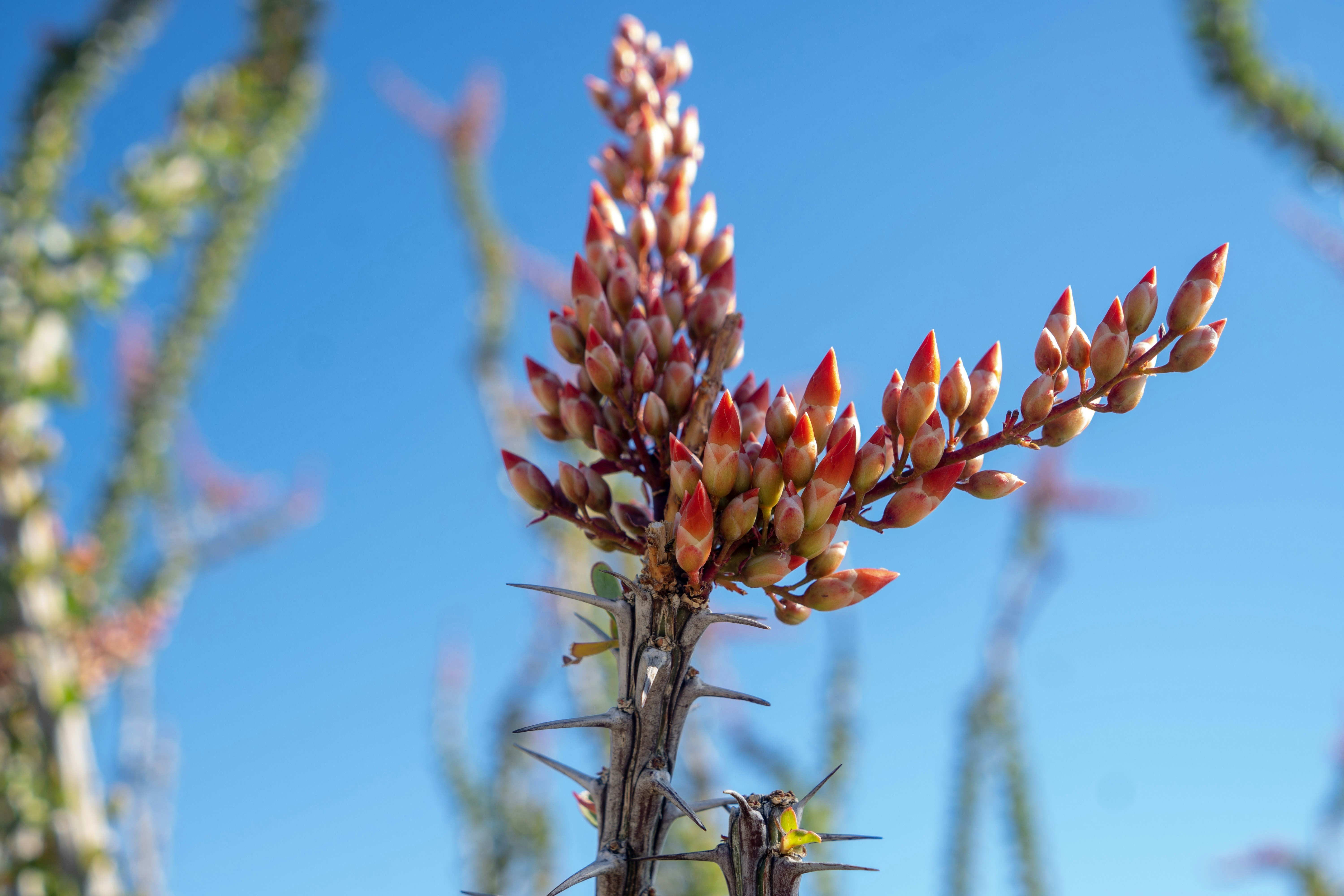 Photo by pmayorphotos