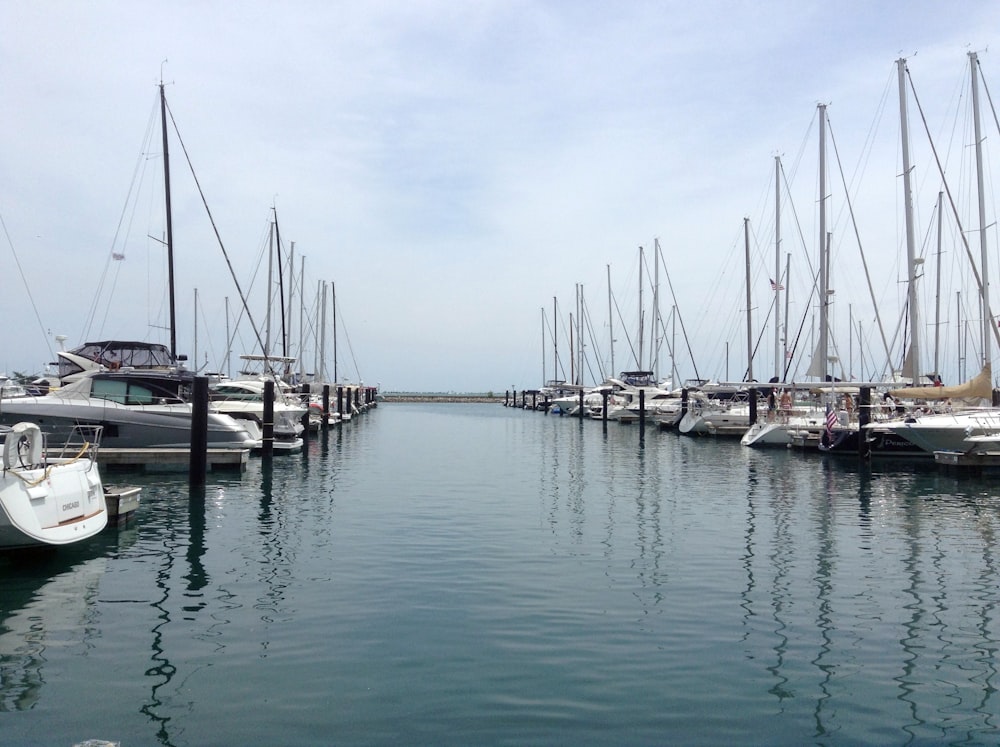 lined boats on body of water during daytime