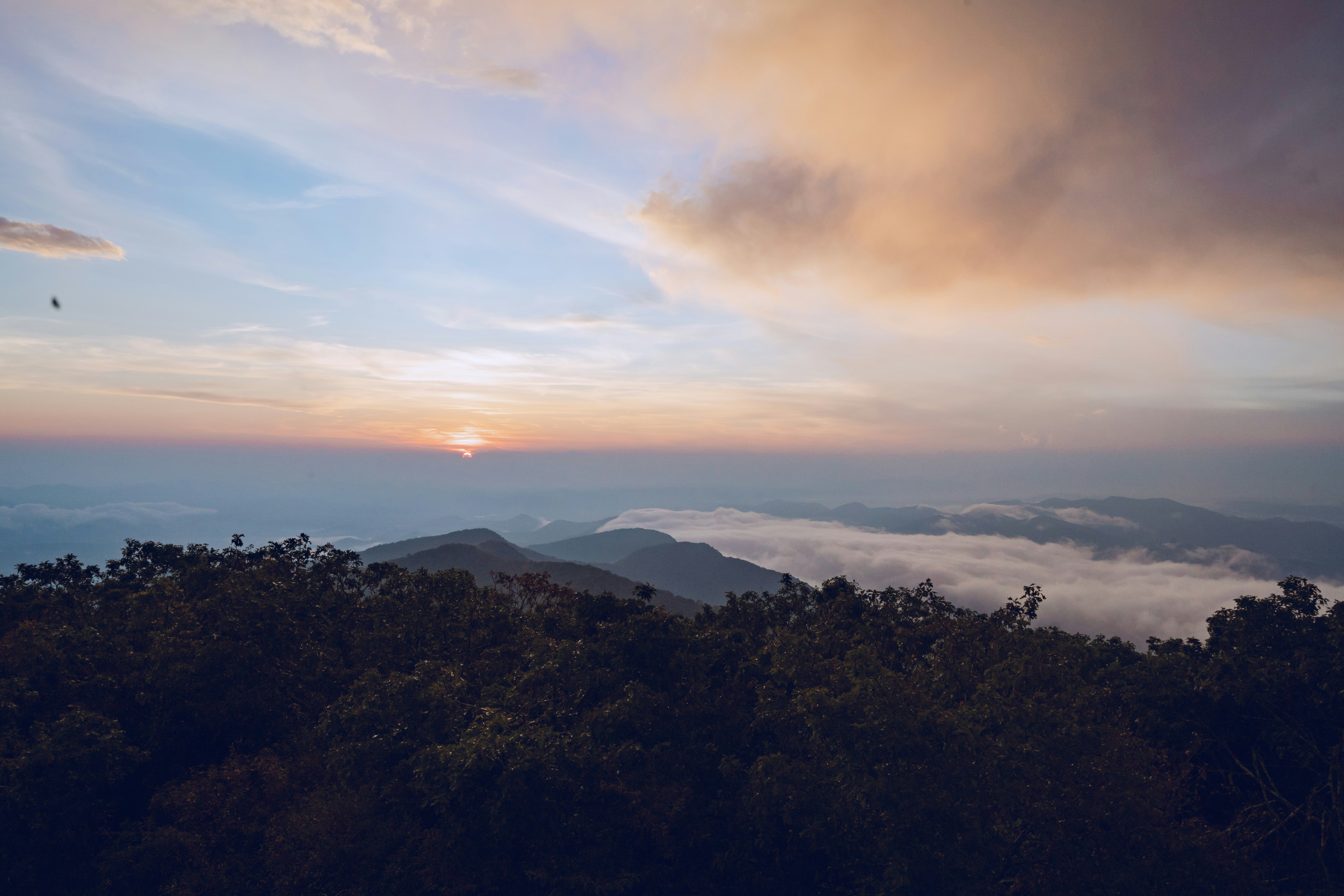 Photo by daivinhtran