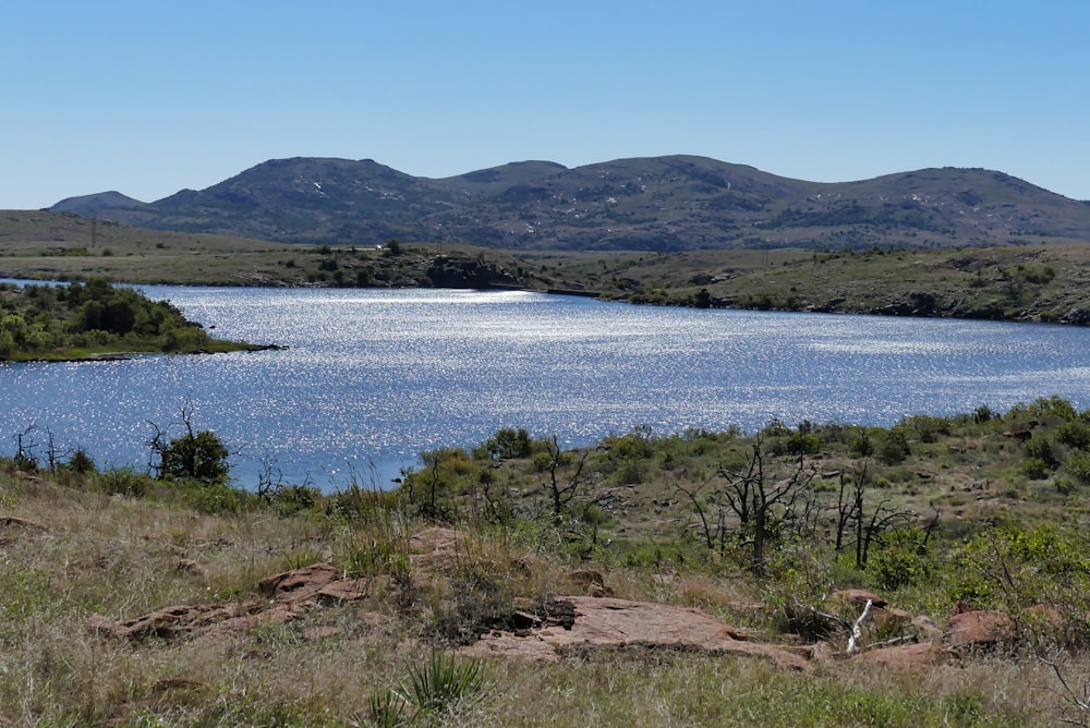 lake and grass field during day