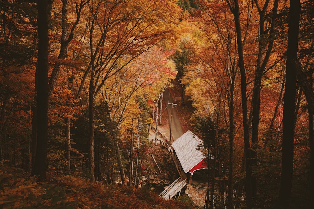 white and red wooden house surround by trees