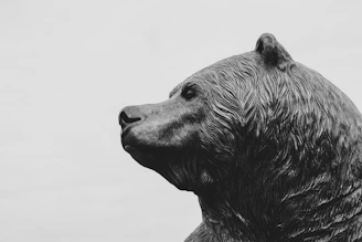 bear statue