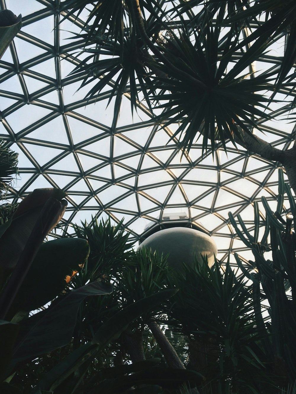 plants in glass ceiling