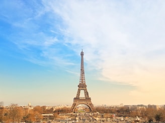 the eiffel tower towering over the city of paris