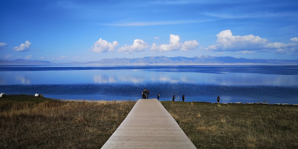 people on beige wooden pathway on grass field seashore during day