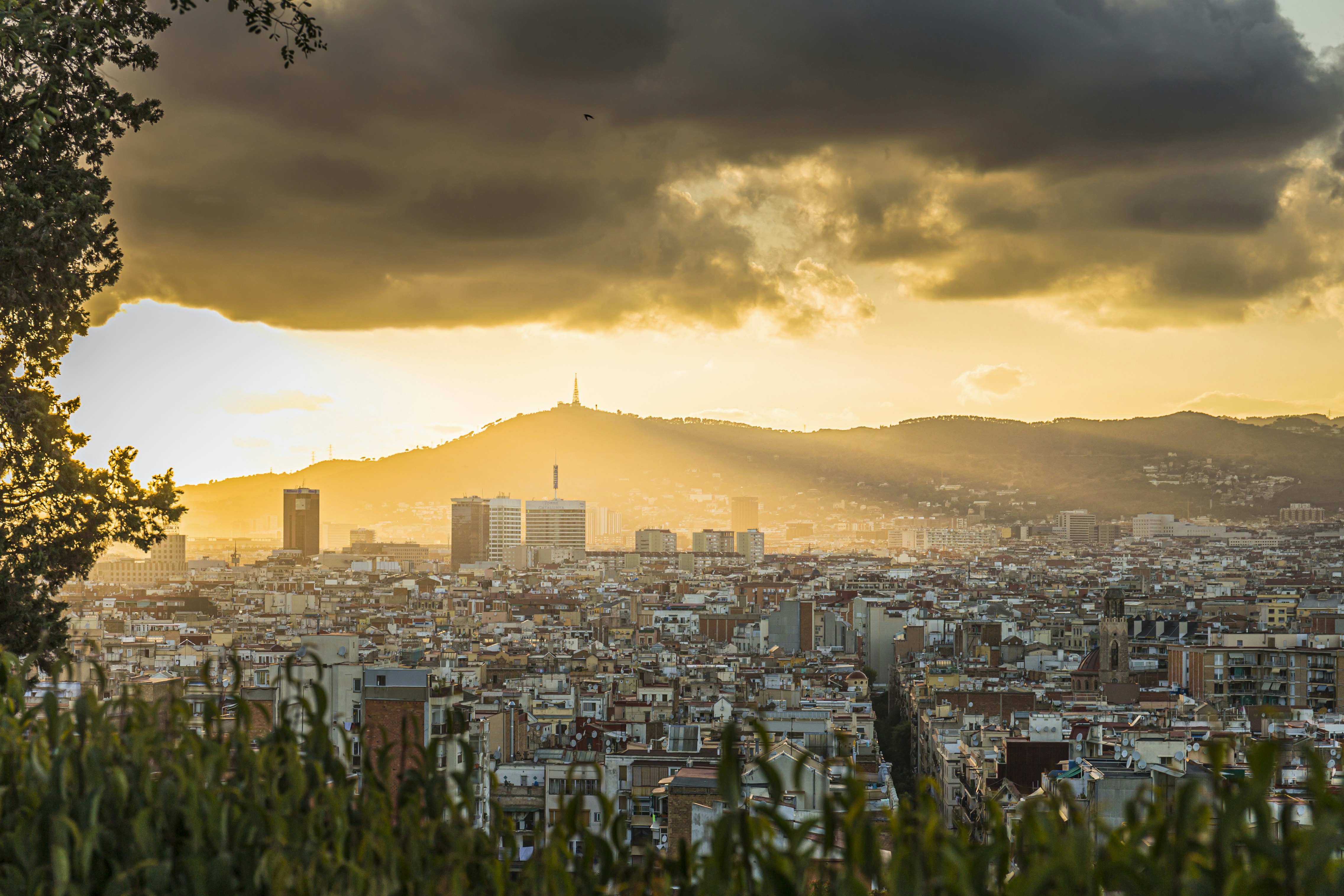 Photo by isaacquesada