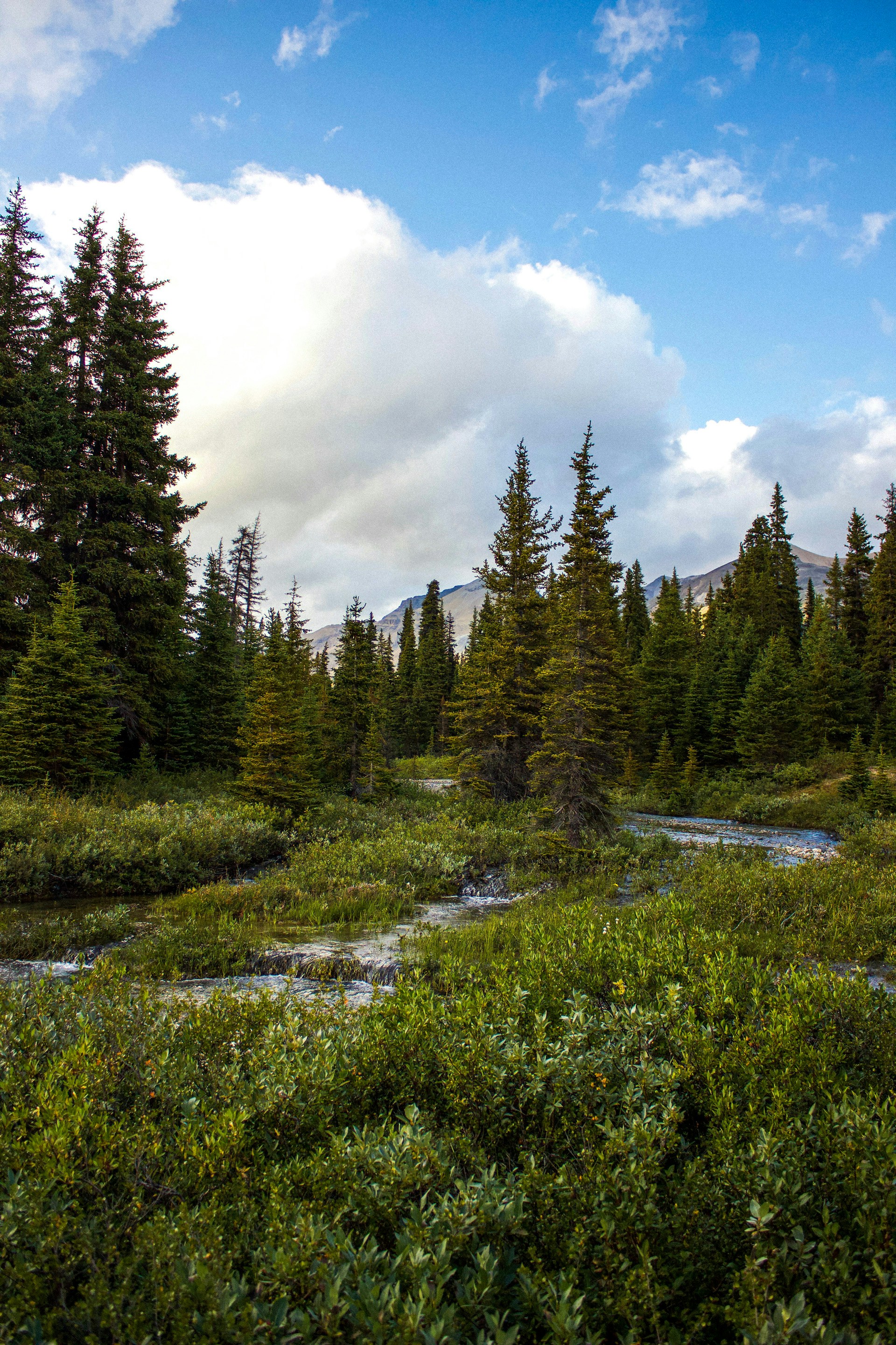 Photo by kristenmunk