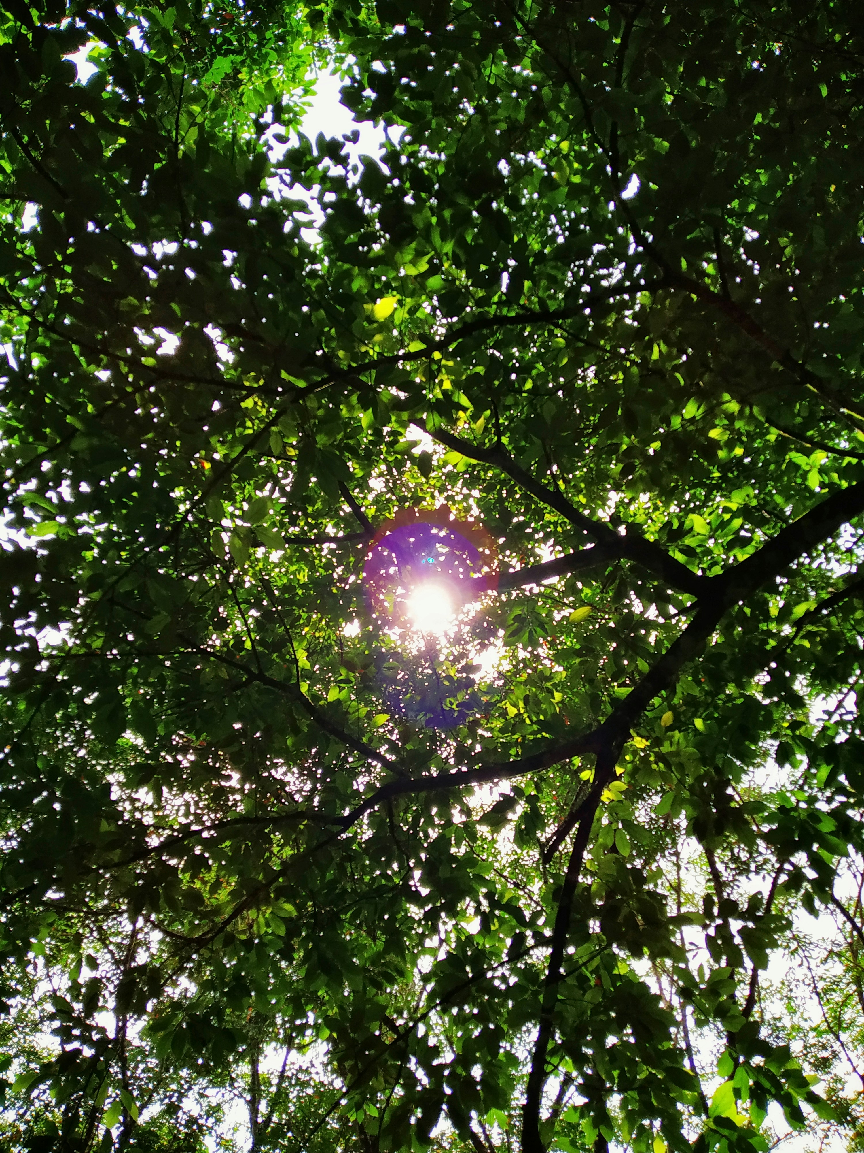 Photo by jadhav24omkar