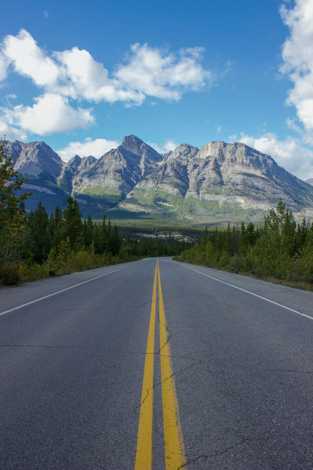 brown concrete road during daytime