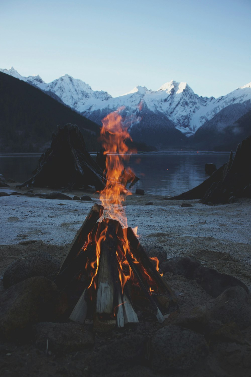 bonfire near body of water close-up photography