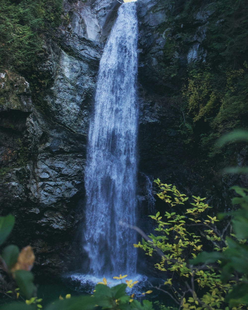 waterfalls surrounded with plants during daytime