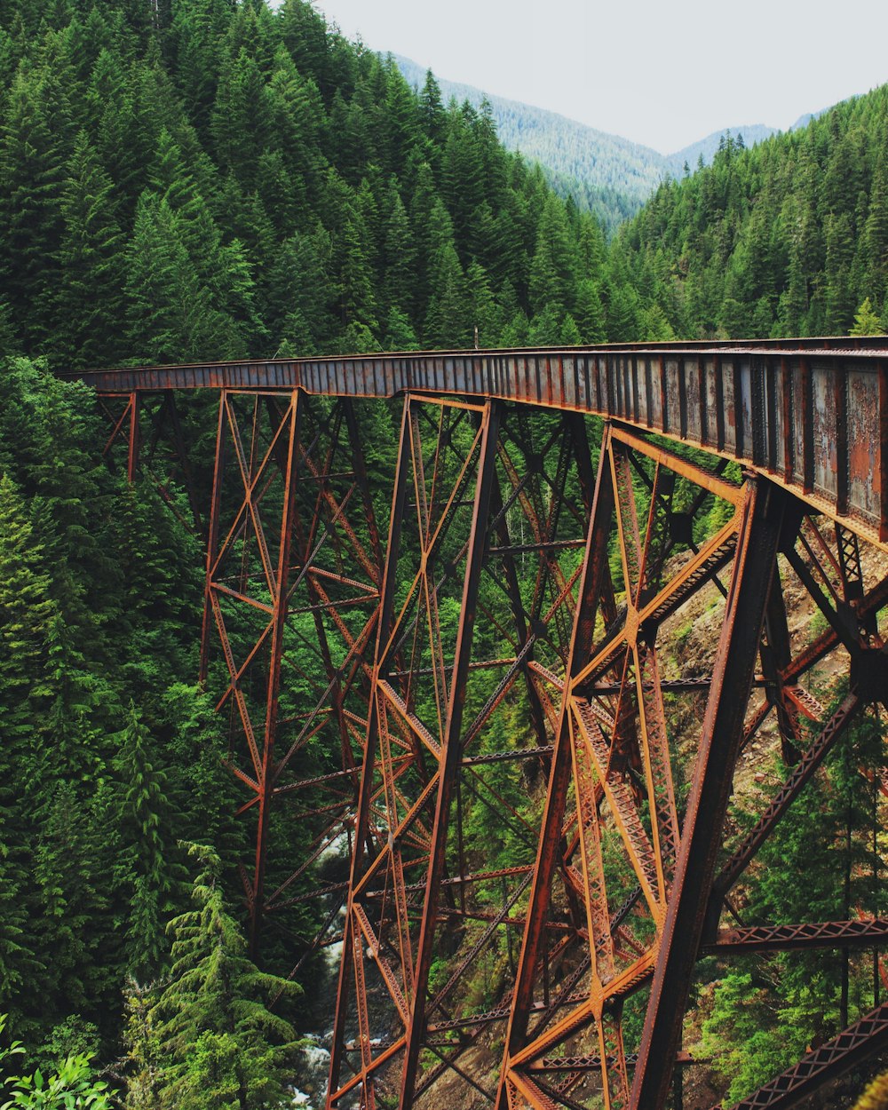 metal bridge surrounded with trees during daytime