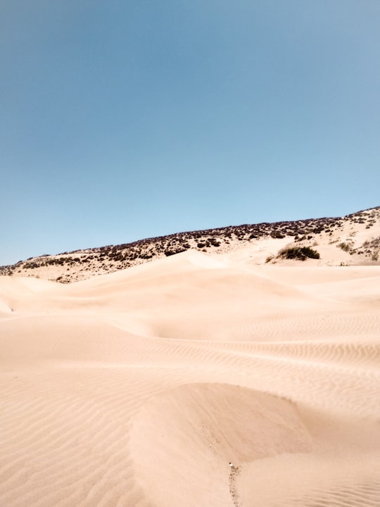 desert in Essaouira Province Morocco