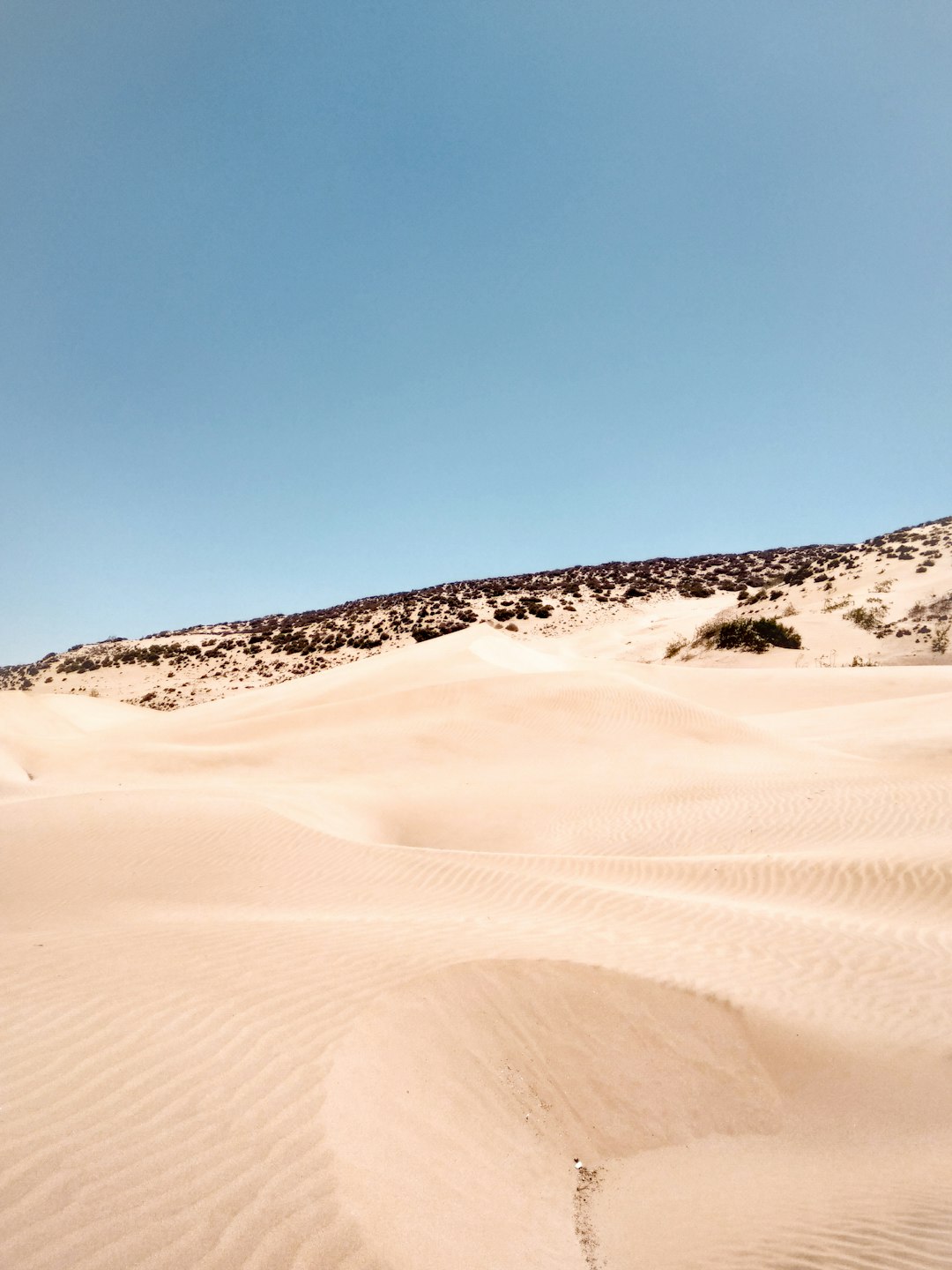 Desert photo spot Essaouira Province Tamri