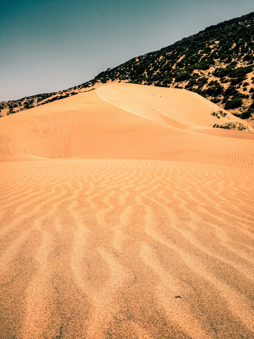 brown desert under blue sky