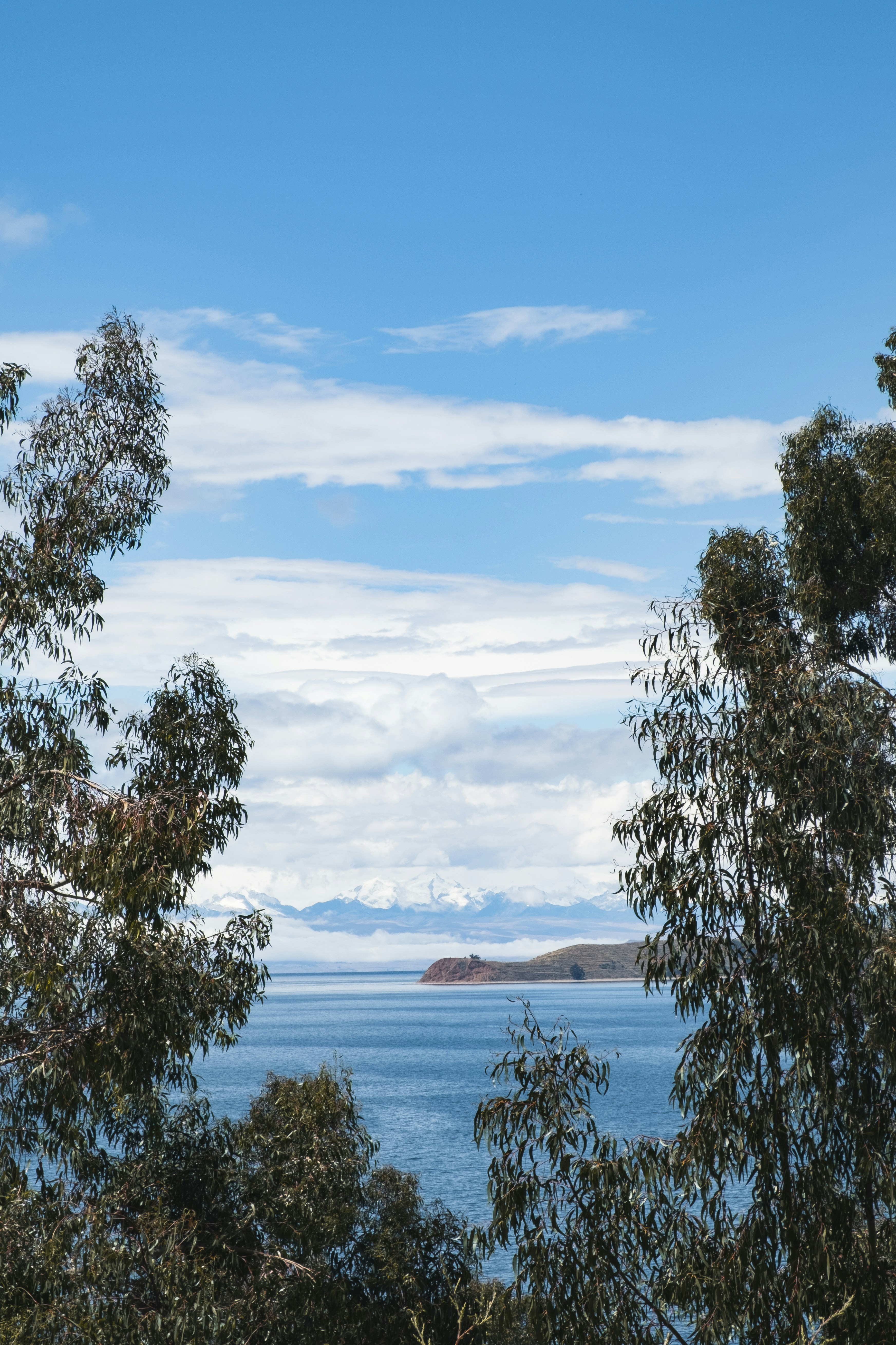 Local Trout Lunch on Avenida 6 de Agosto