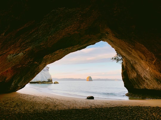 brown cave and body of water in Cathedral Cove New Zealand