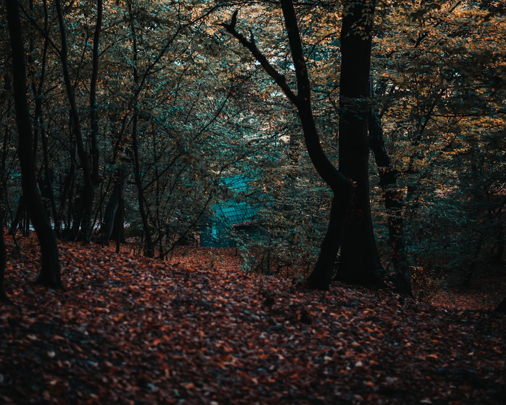 green-leafed trees