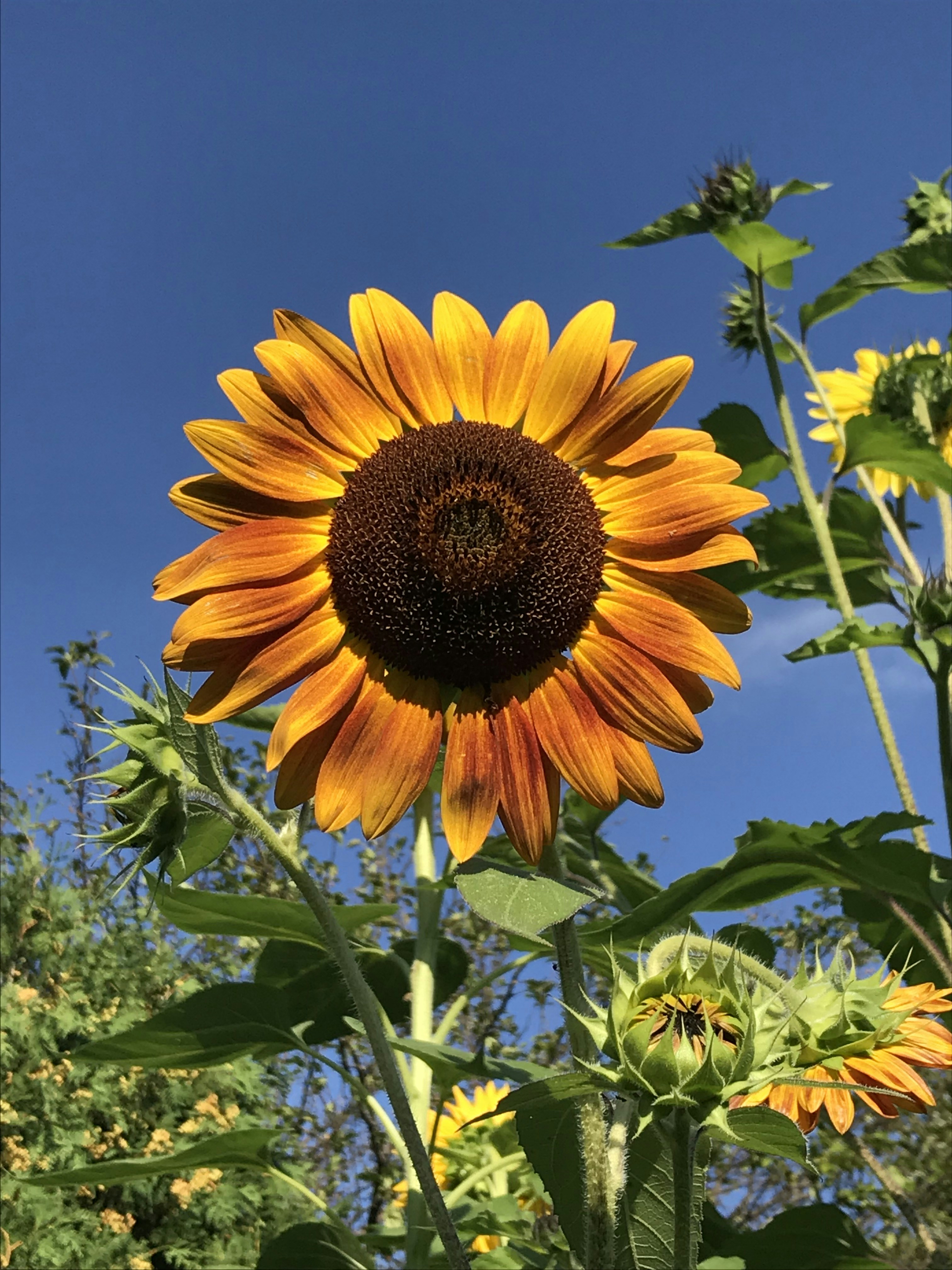 Photo by blakeslee_ohio