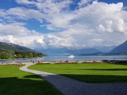 Schadau Park things to do in Thun