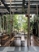 An outdoor dining area with wooden tables and benches surrounded by tall birch tree trunks. Birdhouses are attached to the trunks, and lush greenery provides a natural backdrop. A person is walking near the seating area, which is covered by a pergola with hanging lights.
