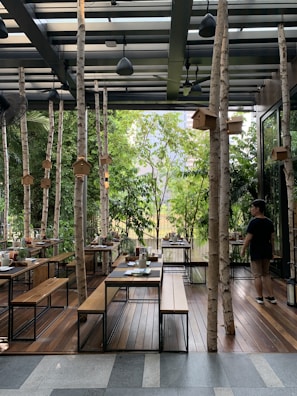 An outdoor dining area with wooden tables and benches surrounded by tall birch tree trunks. Birdhouses are attached to the trunks, and lush greenery provides a natural backdrop. A person is walking near the seating area, which is covered by a pergola with hanging lights.