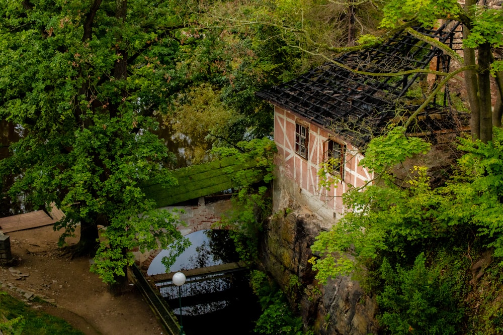 trees near brown concrete house