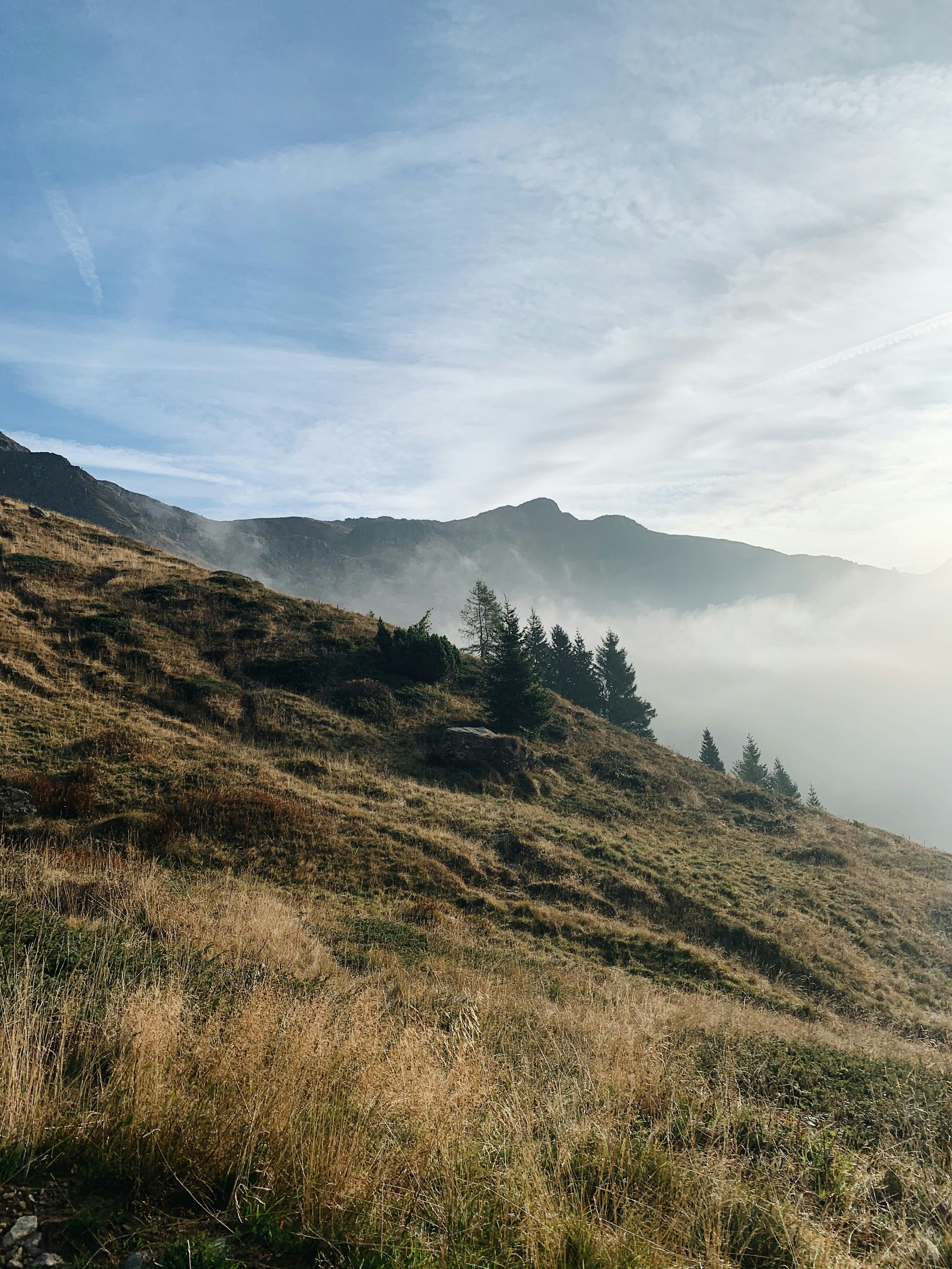 green covered mountain