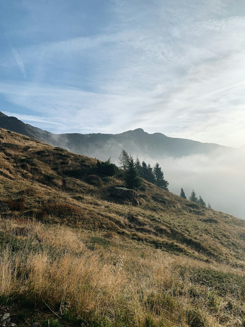 green covered mountain