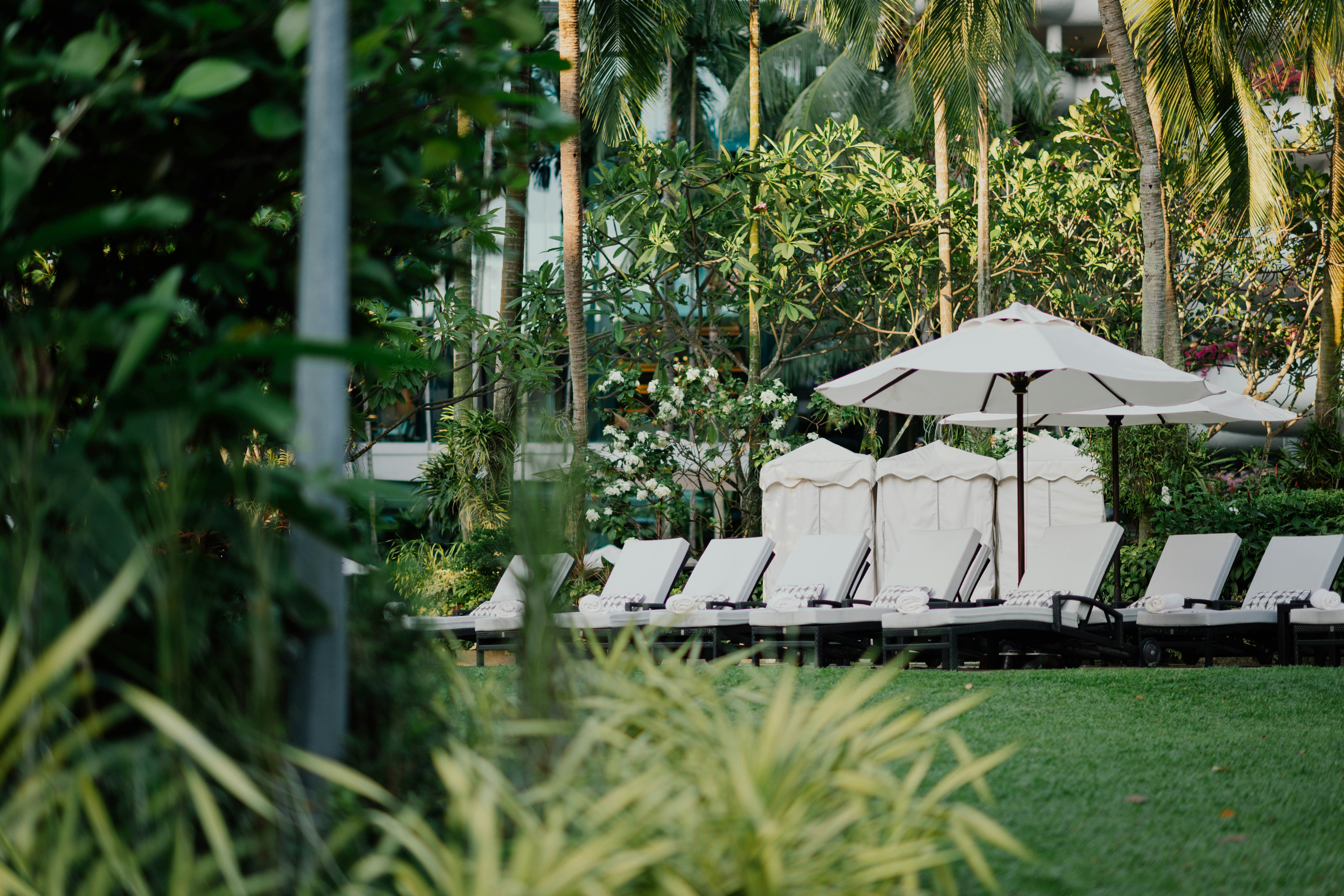 Photo by chuttersnap